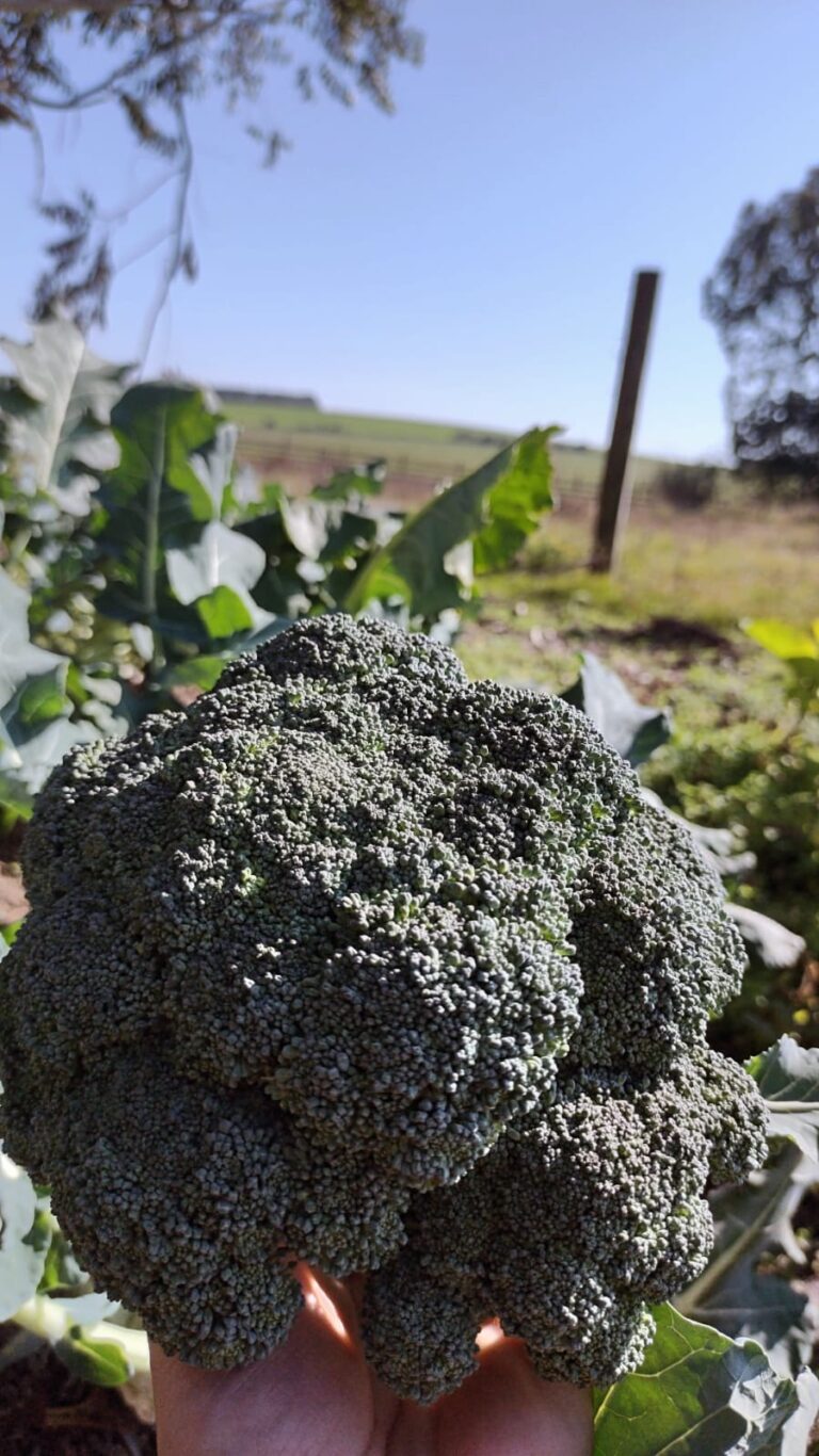 WhatsApp Image 2026-02-16 at 14.07.38