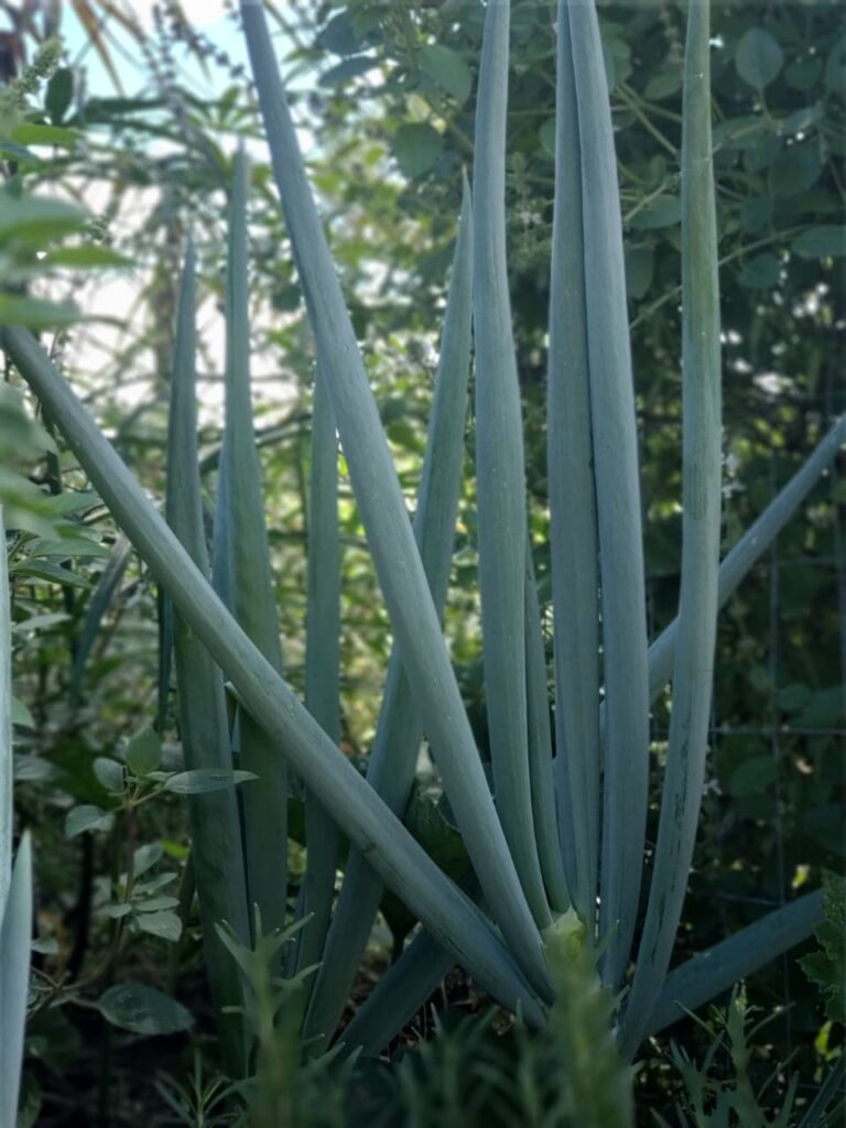 WhatsApp Image 2026-02-16 at 14.22.13